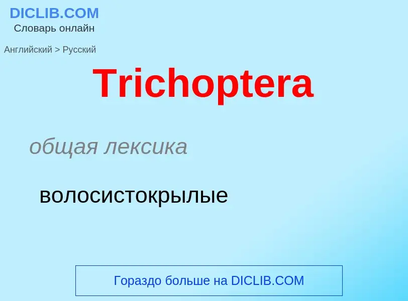 ¿Cómo se dice Trichoptera en Ruso? Traducción de &#39Trichoptera&#39 al Ruso