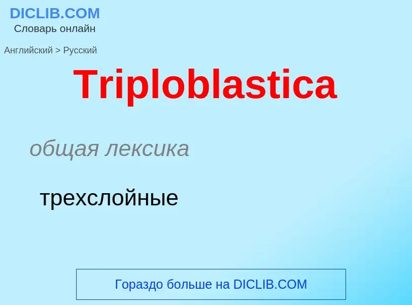 ¿Cómo se dice Triploblastica en Ruso? Traducción de &#39Triploblastica&#39 al Ruso