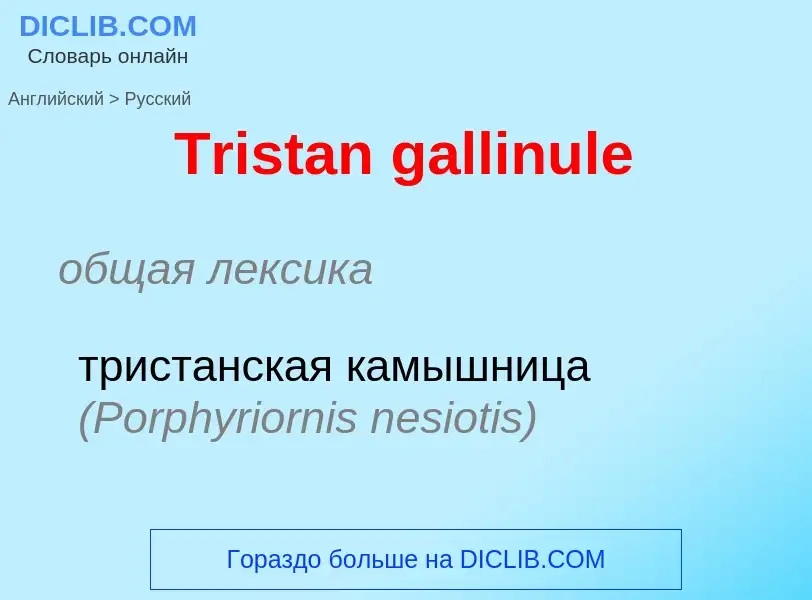 ¿Cómo se dice Tristan gallinule en Ruso? Traducción de &#39Tristan gallinule&#39 al Ruso