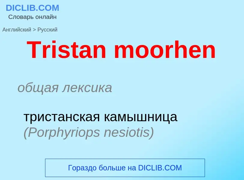 ¿Cómo se dice Tristan moorhen en Ruso? Traducción de &#39Tristan moorhen&#39 al Ruso