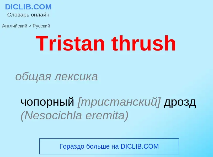 ¿Cómo se dice Tristan thrush en Ruso? Traducción de &#39Tristan thrush&#39 al Ruso