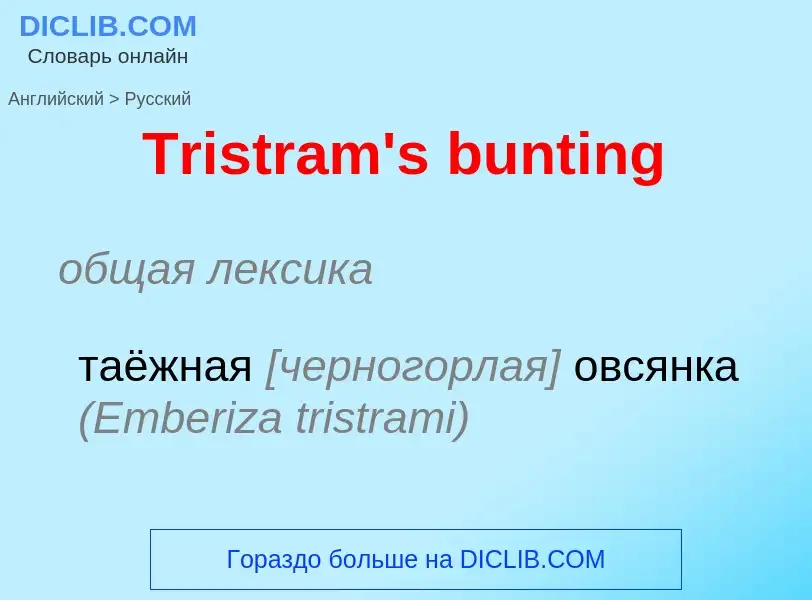 ¿Cómo se dice Tristram's bunting en Ruso? Traducción de &#39Tristram's bunting&#39 al Ruso