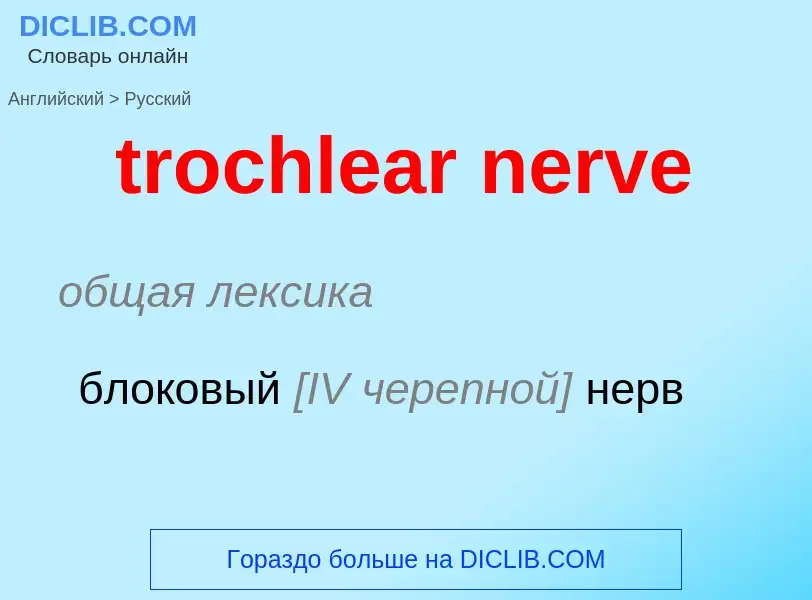 ¿Cómo se dice trochlear nerve en Ruso? Traducción de &#39trochlear nerve&#39 al Ruso