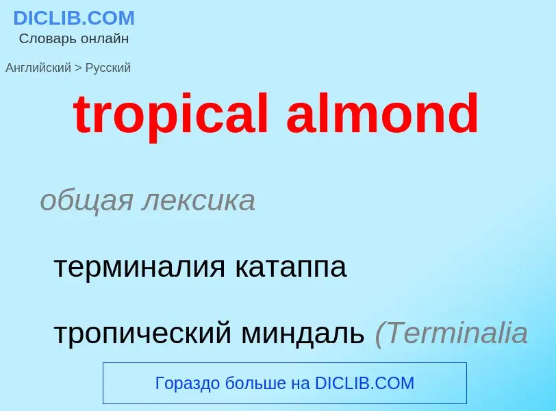 Как переводится tropical almond на Русский язык