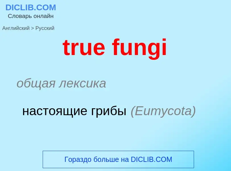 Traduction de &#39true fungi&#39 en Russe