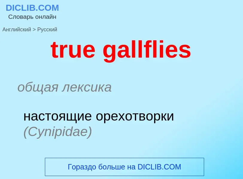 What is the Russian for true gallflies? Translation of &#39true gallflies&#39 to Russian