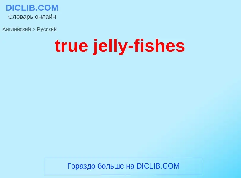 ¿Cómo se dice true jelly-fishes en Ruso? Traducción de &#39true jelly-fishes&#39 al Ruso