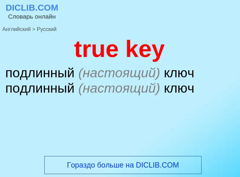 What is the Russian for true key? Translation of &#39true key&#39 to Russian