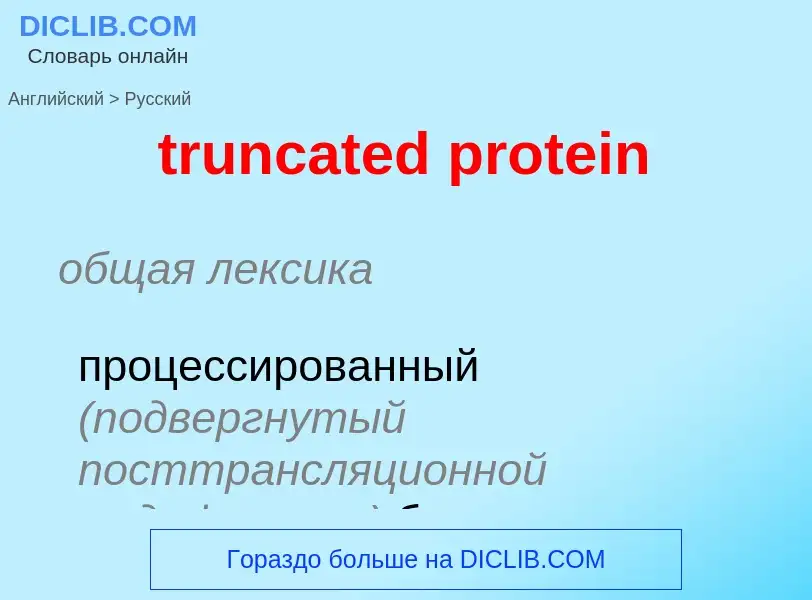 ¿Cómo se dice truncated protein en Ruso? Traducción de &#39truncated protein&#39 al Ruso