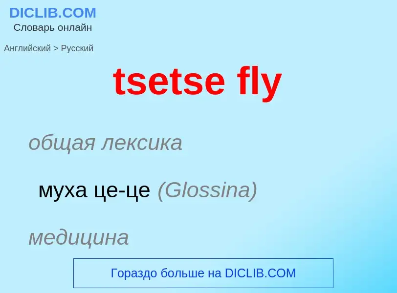 Как переводится tsetse fly на Русский язык