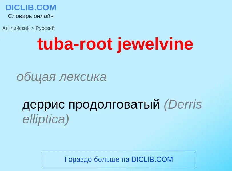 ¿Cómo se dice tuba-root jewelvine en Ruso? Traducción de &#39tuba-root jewelvine&#39 al Ruso