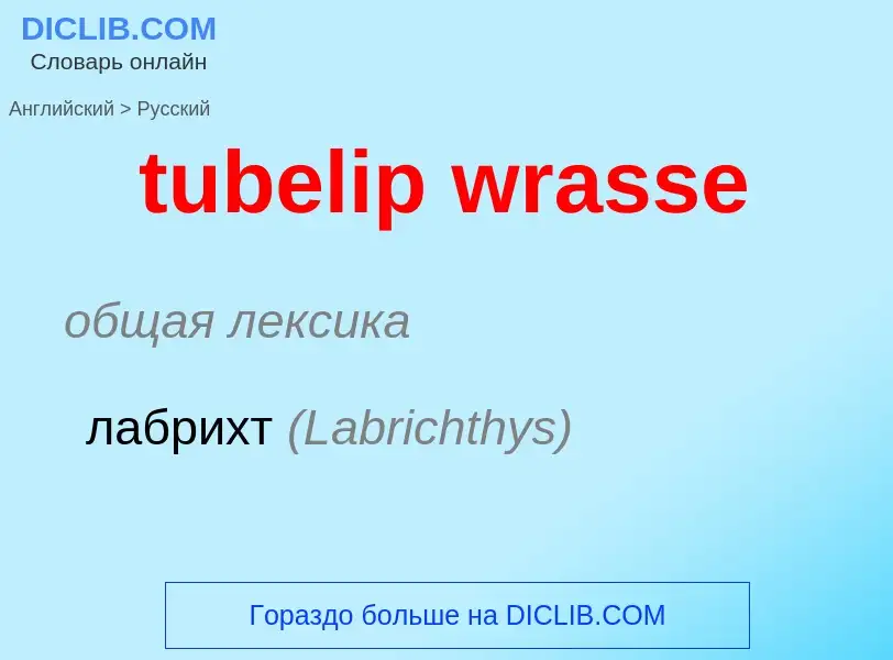 Μετάφραση του &#39tubelip wrasse&#39 σε Ρωσικά