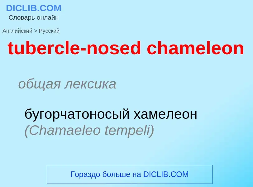 Μετάφραση του &#39tubercle-nosed chameleon&#39 σε Ρωσικά