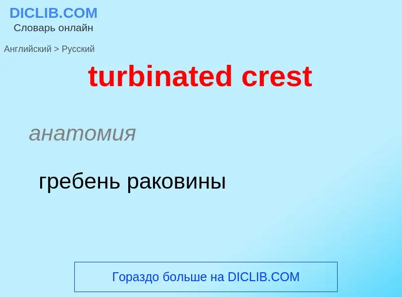 Как переводится turbinated crest на Русский язык