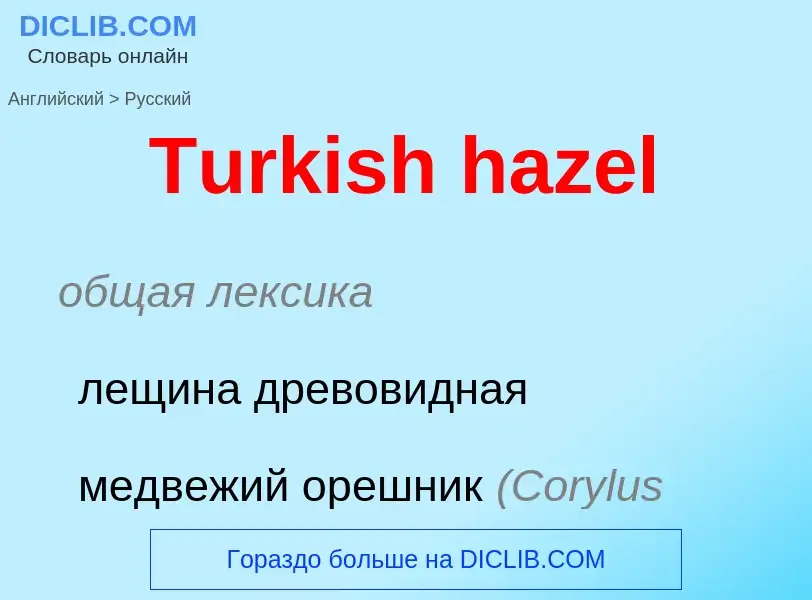 Как переводится Turkish hazel на Русский язык