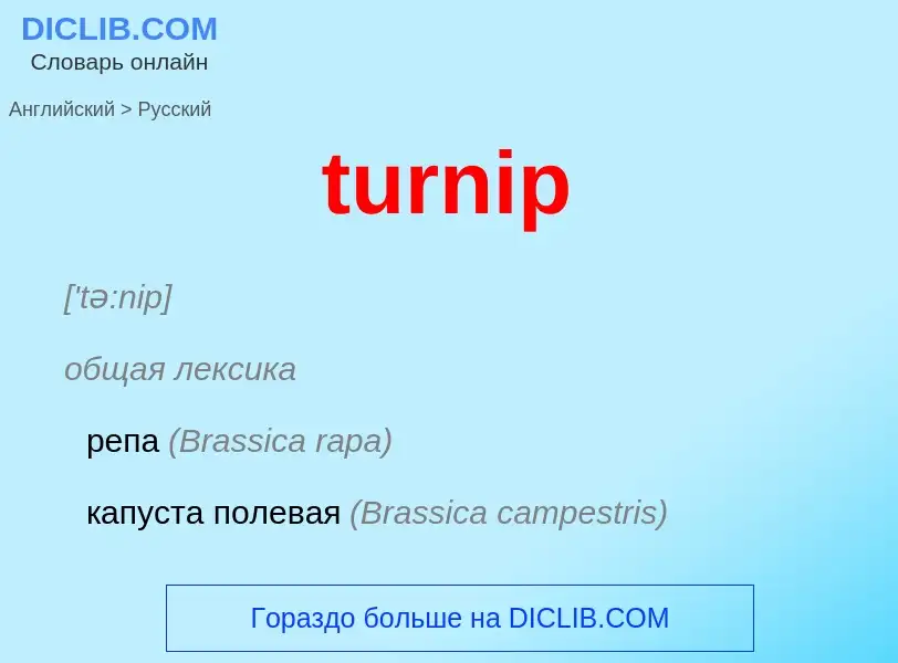 Как переводится turnip на Русский язык