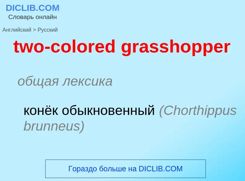 Как переводится two-colored grasshopper на Русский язык