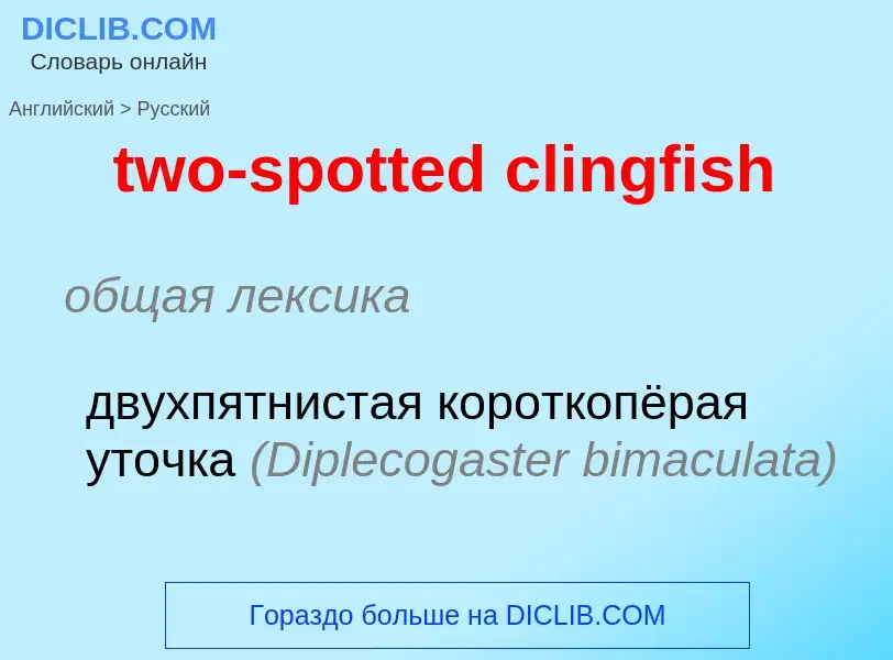 Μετάφραση του &#39two-spotted clingfish&#39 σε Ρωσικά