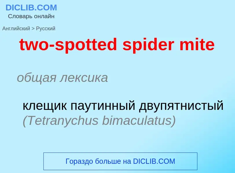 Μετάφραση του &#39two-spotted spider mite&#39 σε Ρωσικά