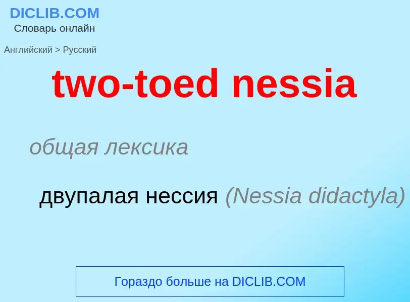 Μετάφραση του &#39two-toed nessia&#39 σε Ρωσικά