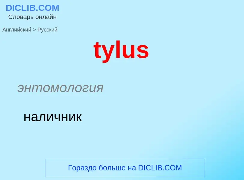 Μετάφραση του &#39tylus&#39 σε Ρωσικά