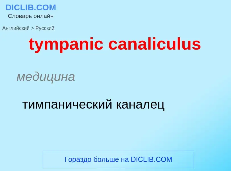 Μετάφραση του &#39tympanic canaliculus&#39 σε Ρωσικά