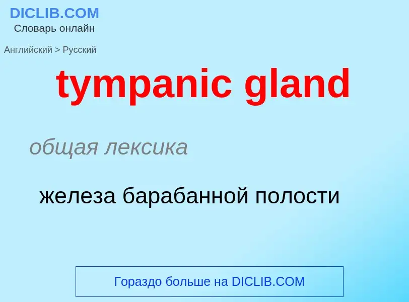 Μετάφραση του &#39tympanic gland&#39 σε Ρωσικά