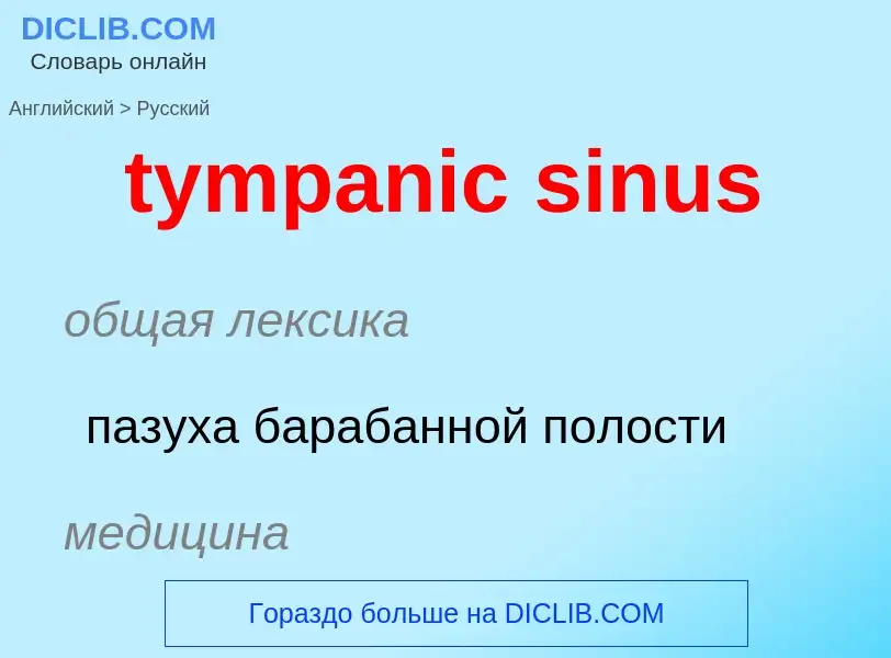 Übersetzung von &#39tympanic sinus&#39 in Russisch