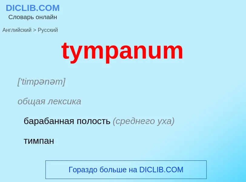 Μετάφραση του &#39tympanum&#39 σε Ρωσικά