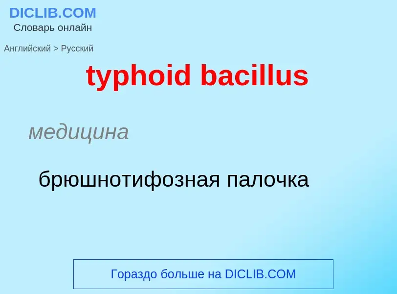 ¿Cómo se dice typhoid bacillus en Ruso? Traducción de &#39typhoid bacillus&#39 al Ruso