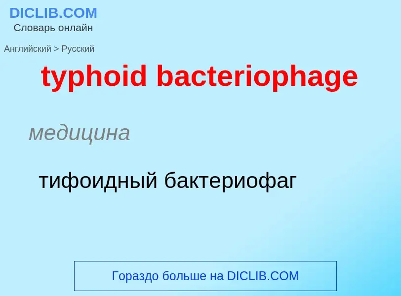 Übersetzung von &#39typhoid bacteriophage&#39 in Russisch