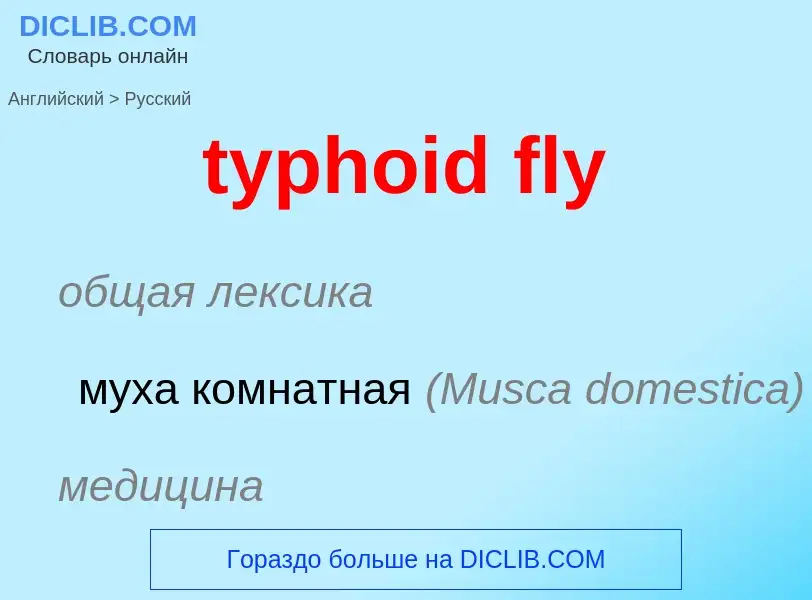 ¿Cómo se dice typhoid fly en Ruso? Traducción de &#39typhoid fly&#39 al Ruso