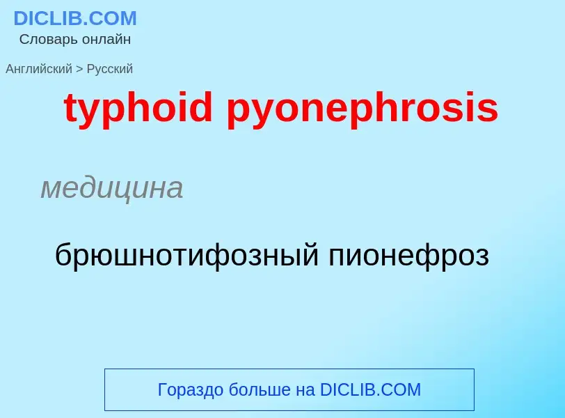 Μετάφραση του &#39typhoid pyonephrosis&#39 σε Ρωσικά