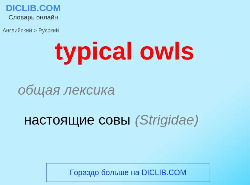 ¿Cómo se dice typical owls en Ruso? Traducción de &#39typical owls&#39 al Ruso