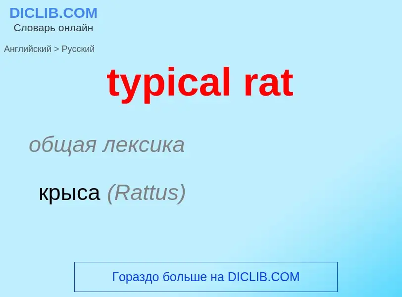 ¿Cómo se dice typical rat en Ruso? Traducción de &#39typical rat&#39 al Ruso