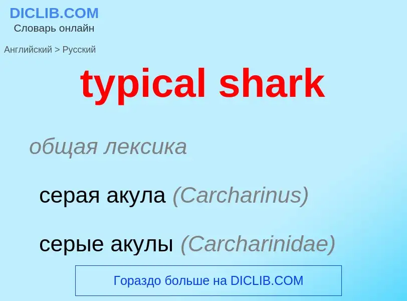 ¿Cómo se dice typical shark en Ruso? Traducción de &#39typical shark&#39 al Ruso