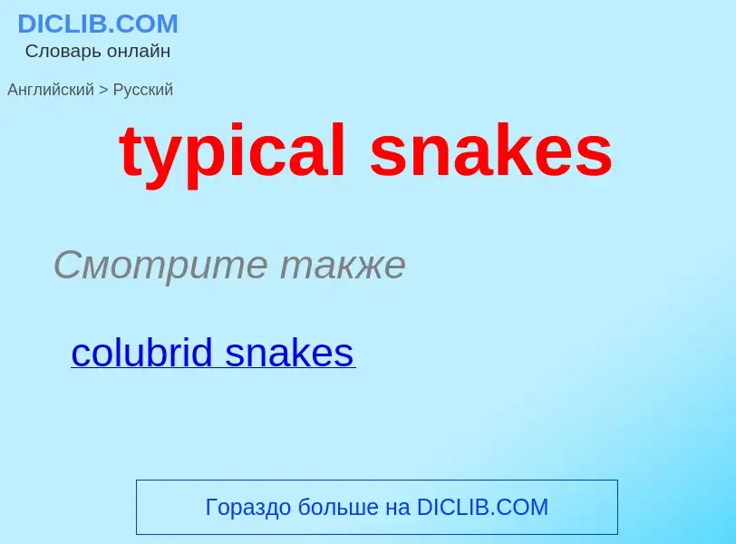 Übersetzung von &#39typical snakes&#39 in Russisch