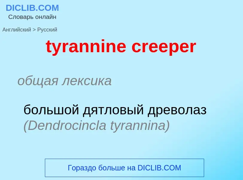 Μετάφραση του &#39tyrannine creeper&#39 σε Ρωσικά