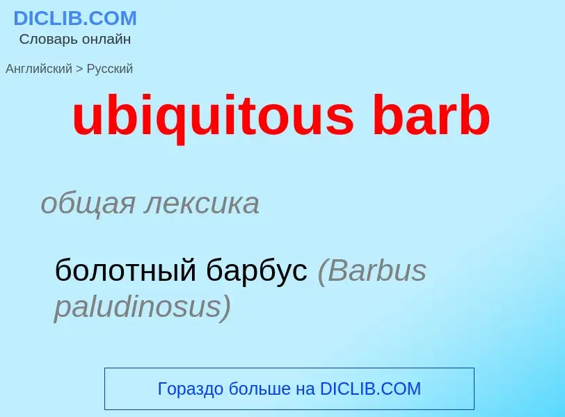 Vertaling van &#39ubiquitous barb&#39 naar Russisch