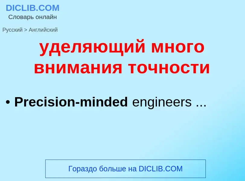 What is the English for уделяющий много внимания точности? Translation of &#39уделяющий много вниман