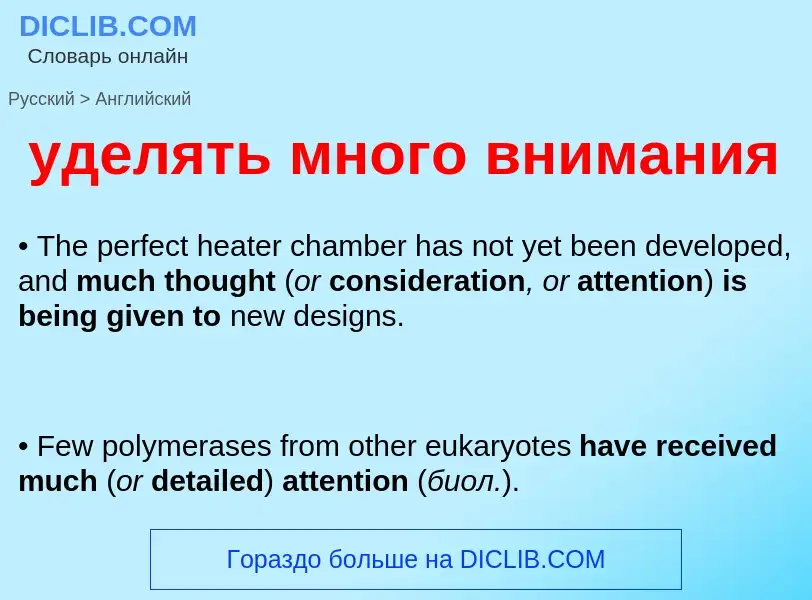 What is the English for уделять много внимания? Translation of &#39уделять много внимания&#39 to Eng