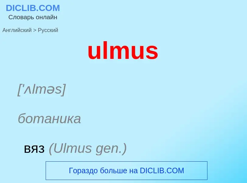 Μετάφραση του &#39ulmus&#39 σε Ρωσικά