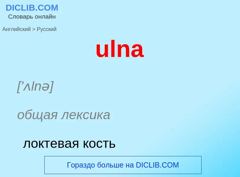 Μετάφραση του &#39ulna&#39 σε Ρωσικά