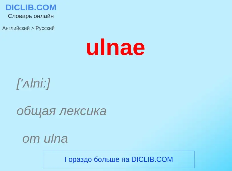 Μετάφραση του &#39ulnae&#39 σε Ρωσικά