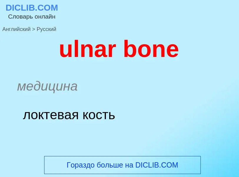 Μετάφραση του &#39ulnar bone&#39 σε Ρωσικά