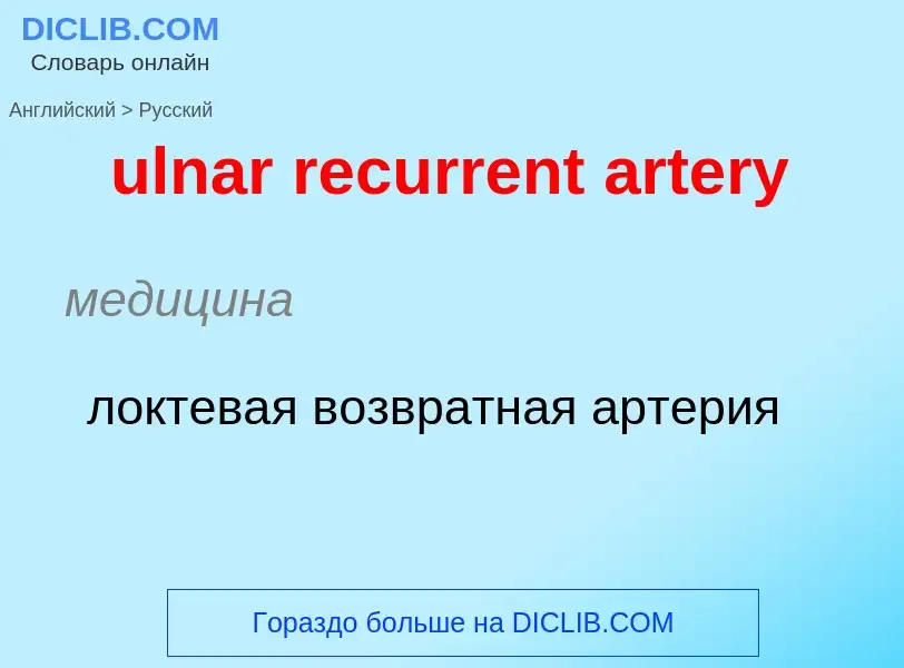 Μετάφραση του &#39ulnar recurrent artery&#39 σε Ρωσικά