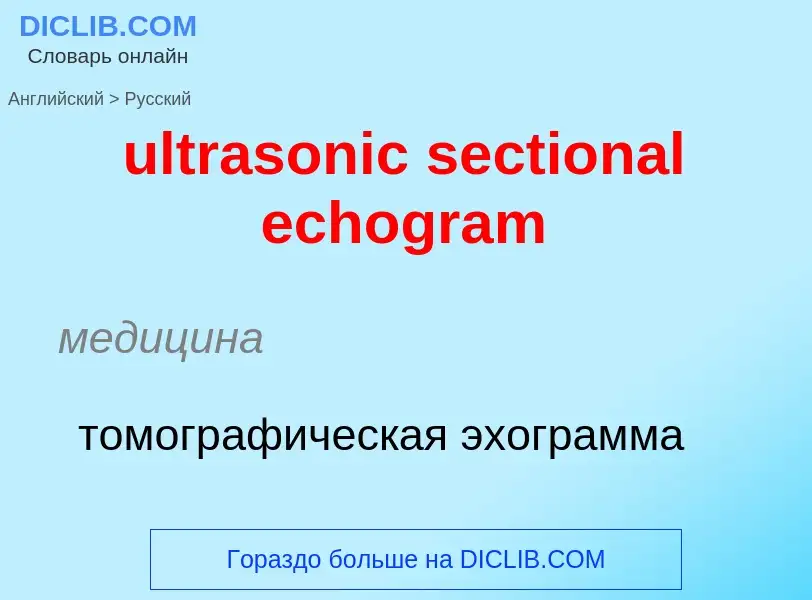 Μετάφραση του &#39ultrasonic sectional echogram&#39 σε Ρωσικά