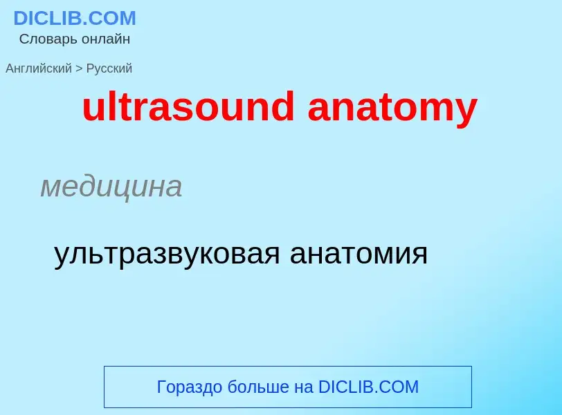 Μετάφραση του &#39ultrasound anatomy&#39 σε Ρωσικά