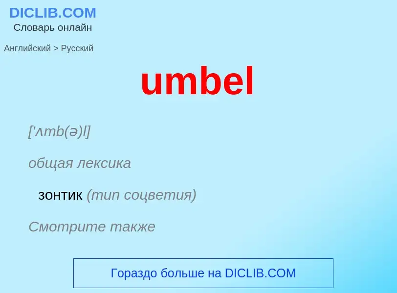 Μετάφραση του &#39umbel&#39 σε Ρωσικά