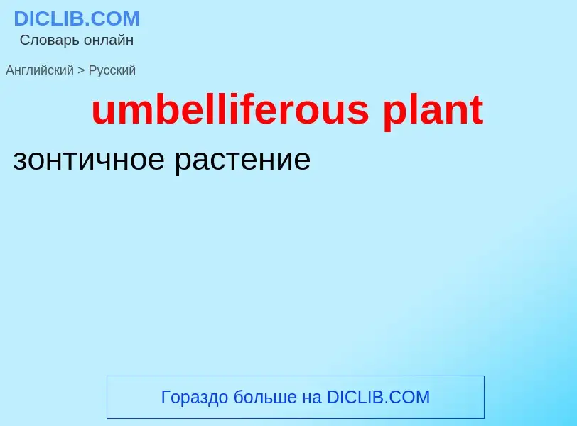 Μετάφραση του &#39umbelliferous plant&#39 σε Ρωσικά